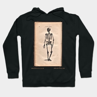 “HUMAN SKELETON” – HOOKER’S NATURAL HISTORY (1874) Hoodie